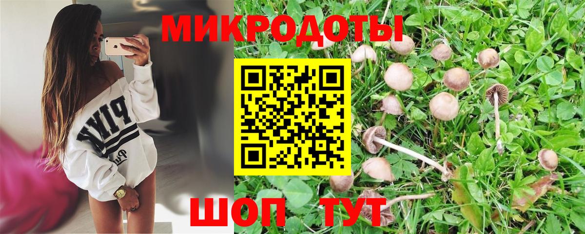 где найти наркотики  Вход с VPN  Коркино  Галлюциногенные грибы MAGIC MUSHROOMS 